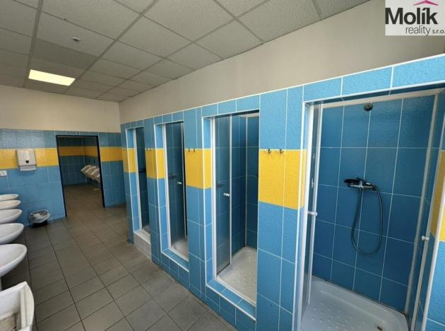 Prodej skladu, Chomutov, Pražská, 30000 m2