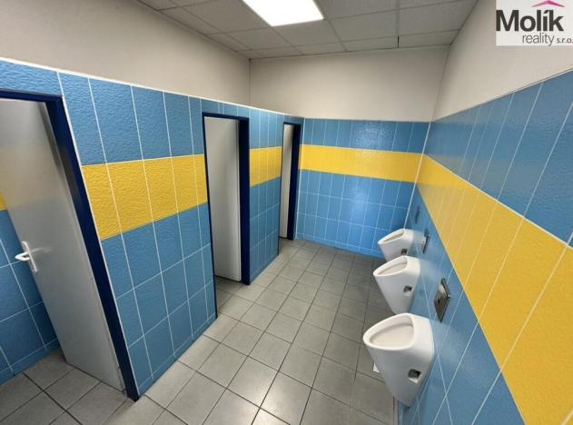 Prodej skladu, Chomutov, Pražská, 30000 m2