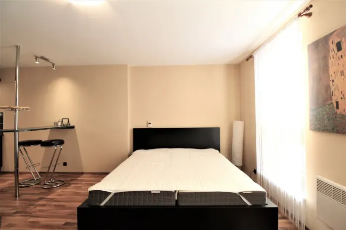 Pronájem bytu 1+kk, Praha - Karlín, Hybešova, 36 m2