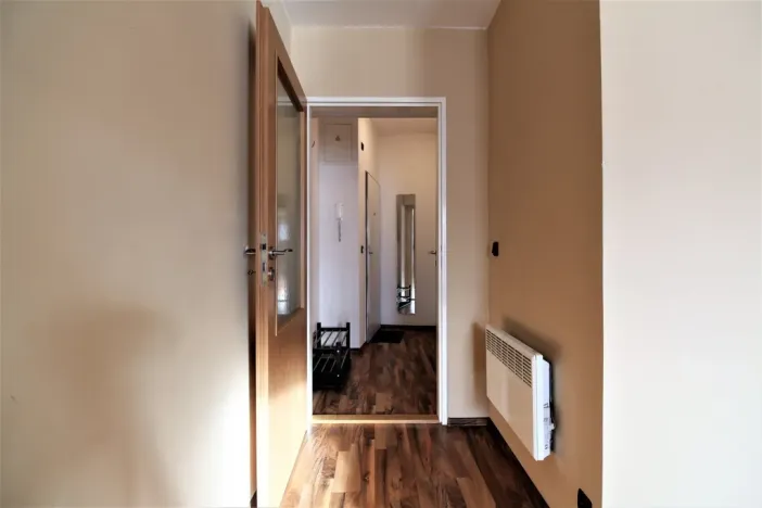 Pronájem bytu 1+kk, Praha - Karlín, Hybešova, 36 m2