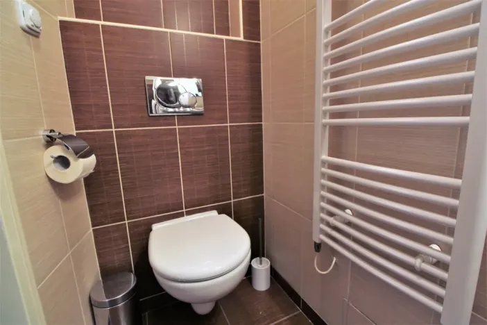 Pronájem bytu 1+kk, Praha - Karlín, Hybešova, 36 m2