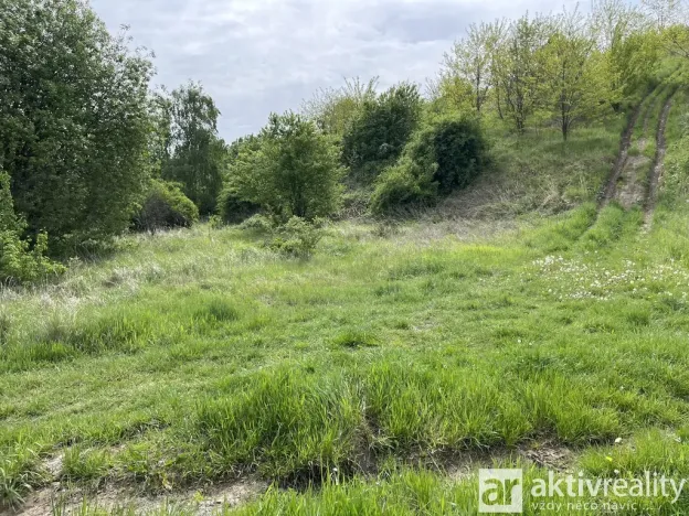 Prodej podílu 1/4 pozemku pro bydlení, Chýně, 1352 m2
