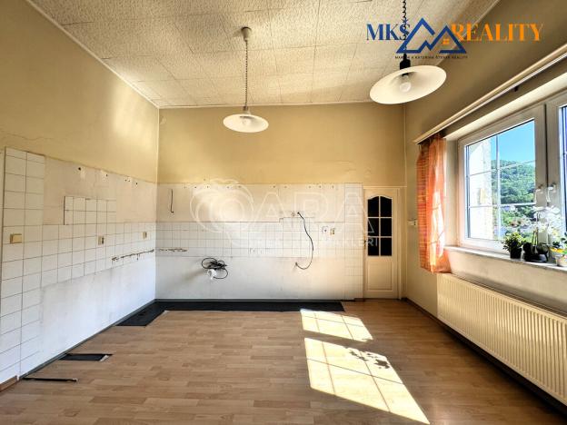 Prodej vícegeneračního domu, Děčín, Za Sadem, 740 m2