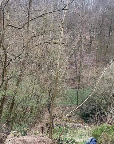 Prodej chaty, Brno - Bystrc, Foltýnova, 39 m2