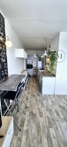 Pronájem bytu 2+kk, České Budějovice, Kubatova, 50 m2