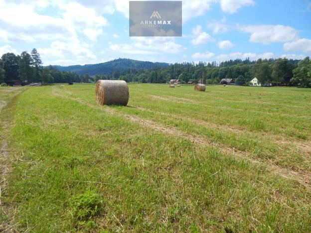 Prodej pozemku pro bydlení, Široká Niva, 39111 m2