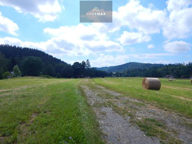 Prodej pozemku pro bydlení, Široká Niva, 39111 m2