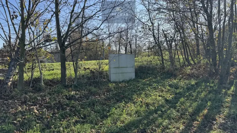 Prodej komerčního pozemku, Hladké Životice, 3073 m2