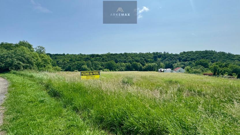 Prodej pozemku pro bydlení, Bílovec, 19605 m2