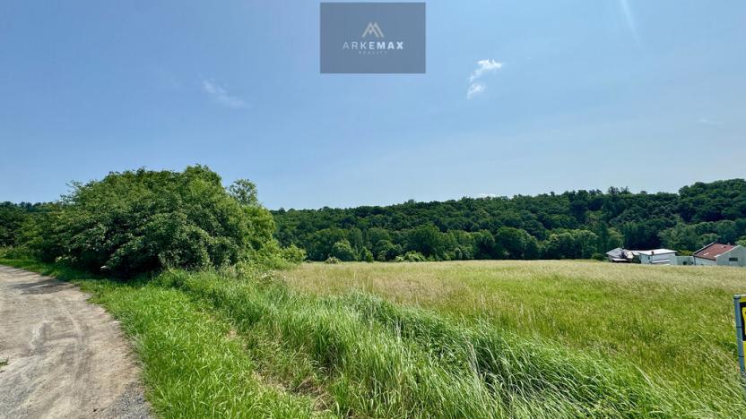 Prodej pozemku pro bydlení, Bílovec, 19605 m2