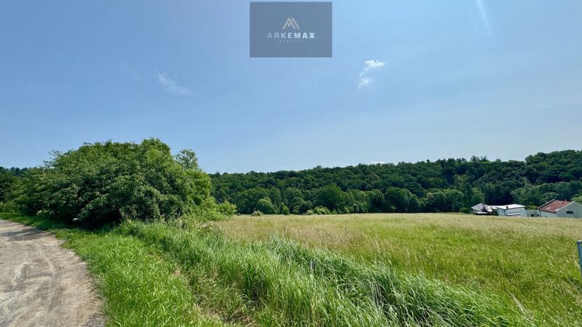 Prodej pozemku pro bydlení, Bílovec, 19605 m2