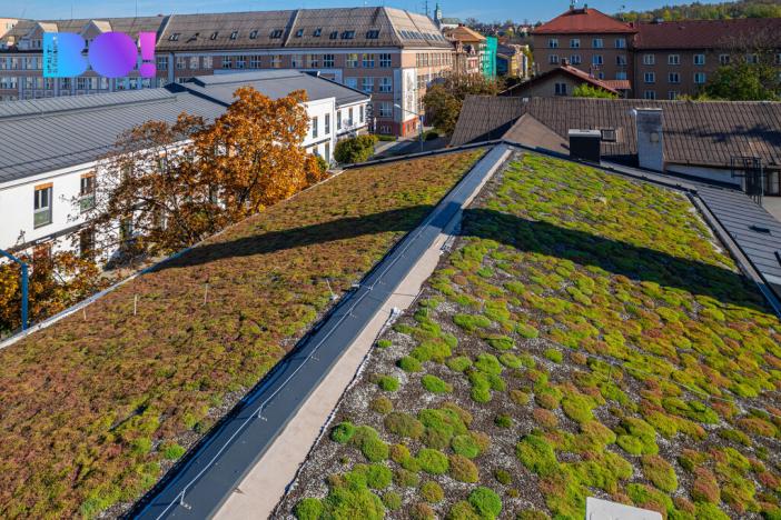 Pronájem obchodního prostoru, Český Těšín, Tovární, 83 m2