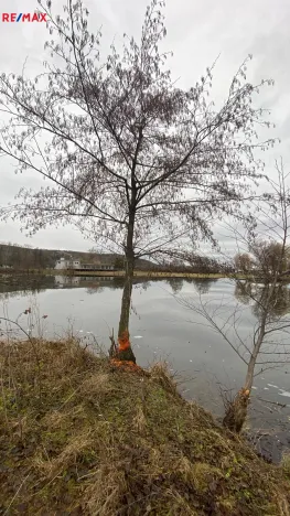 Prodej komerčního pozemku, Napajedla, 8000 m2