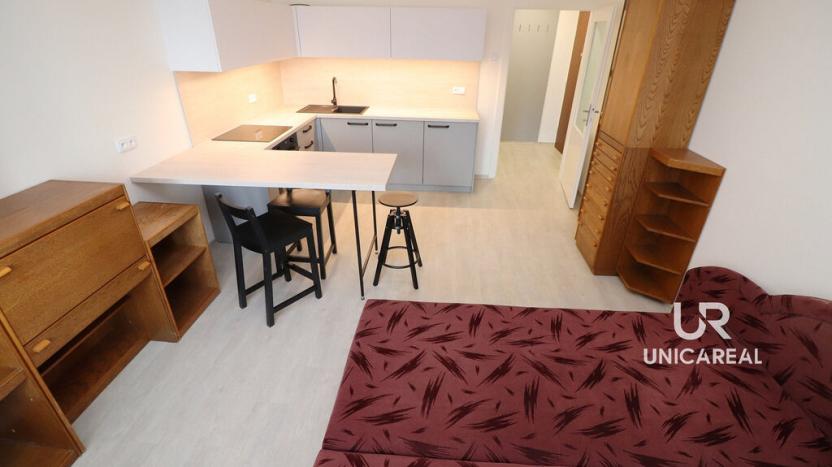 Pronájem bytu 1+kk, Brno - Žabovřesky, Tábor, 32 m2