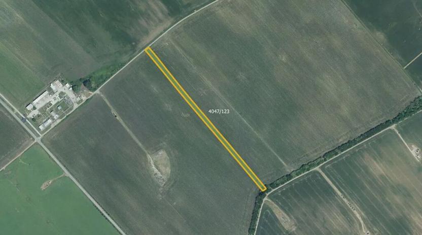 Prodej pole, Moravská Nová Ves, 6902 m2