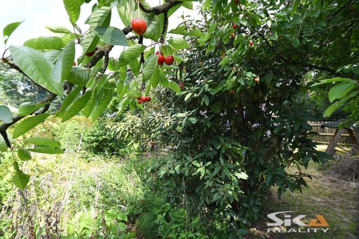 Prodej zahrady, Louny, Na Losech, 456 m2