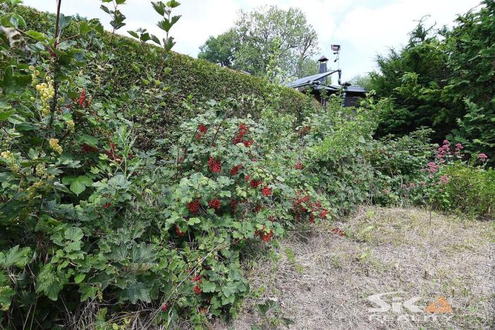 Prodej chaty, Louny, Na Losech, 20 m2