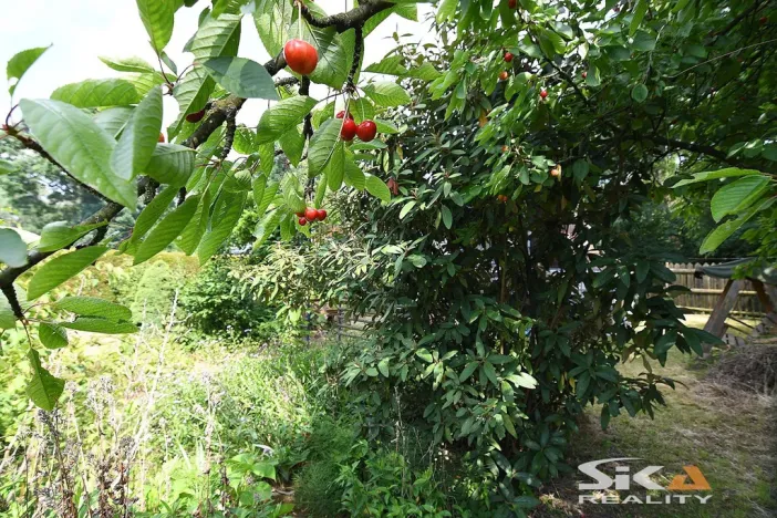 Prodej chaty, Louny, Na Losech, 20 m2