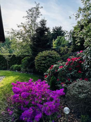 Prodej rodinného domu, Kamenice - Všedobrovice, 330 m2