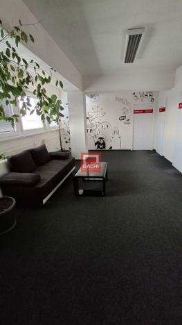 Pronájem kanceláře, Olomouc, Šlechtitelů, 307 m2