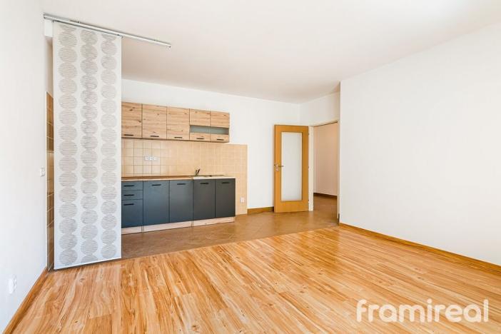 Pronájem bytu 2+kk, Brno, Starobrněnská, 50 m2