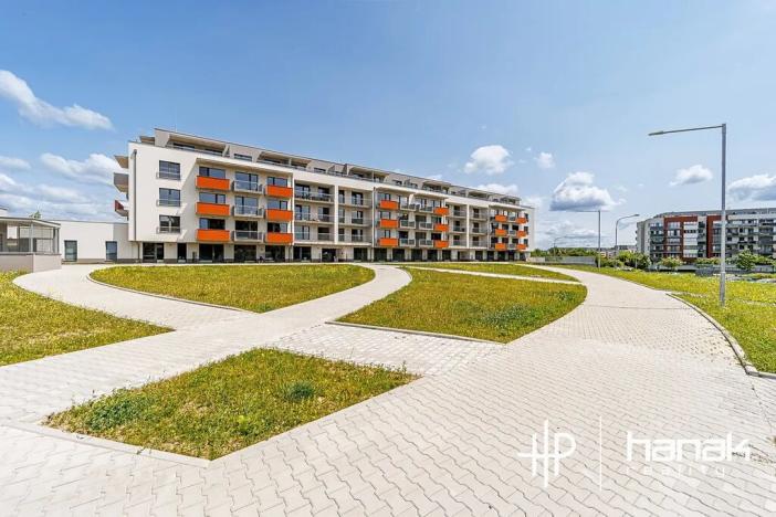 Pronájem bytu 1+kk, Olomouc, Aloise Rašína, 30 m2