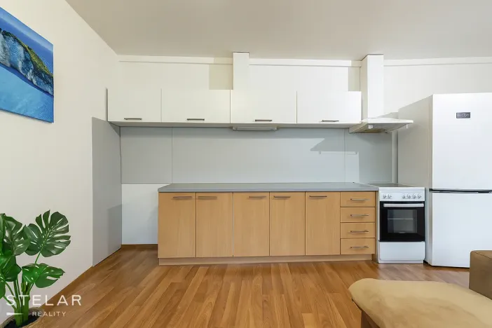 Prodej bytu 2+kk, Opava - Kateřinky, Hálkova, 60 m2