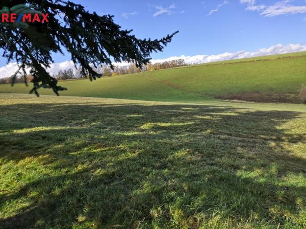 Prodej chalupy, Horní Olešnice - Ždírnice, 104 m2