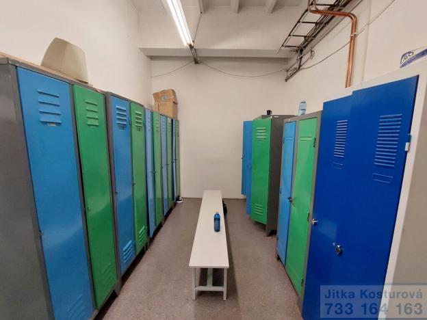 Pronájem výrobních prostor, Krnov - Pod Bezručovým vrchem, Hlubčická, 533 m2