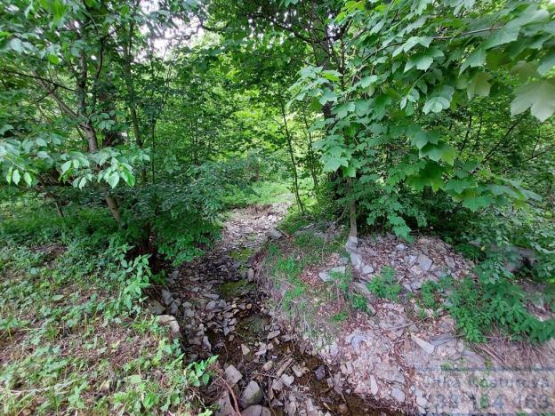 Prodej pozemku pro bydlení, Hošťálkovy - Staré Purkartice, 3379 m2