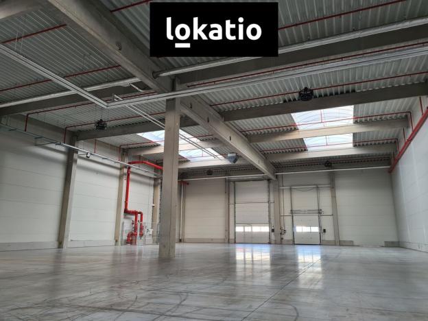 Pronájem skladu, Ostrava, 1168 m2