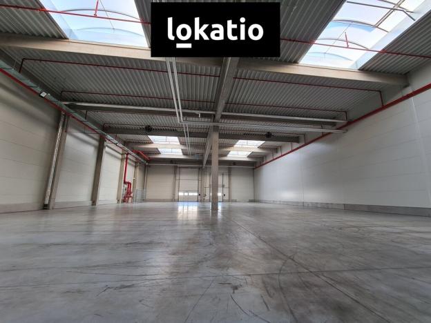 Pronájem skladu, Ostrava, 1168 m2