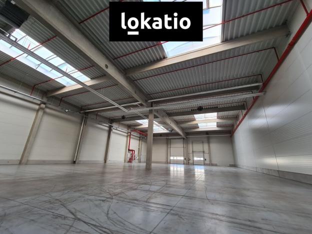 Pronájem skladu, Ostrava, 1168 m2