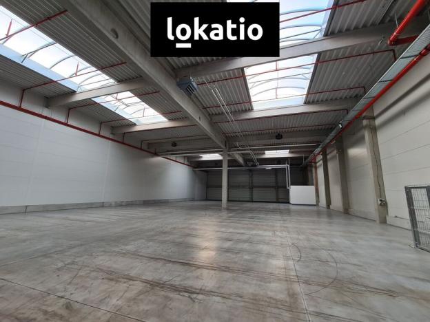 Pronájem skladu, Ostrava, 1168 m2