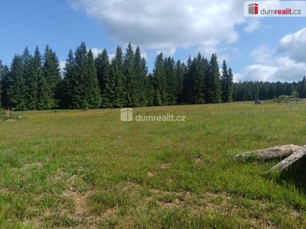 Prodej pozemku pro bydlení, Orlické Záhoří, 3720 m2