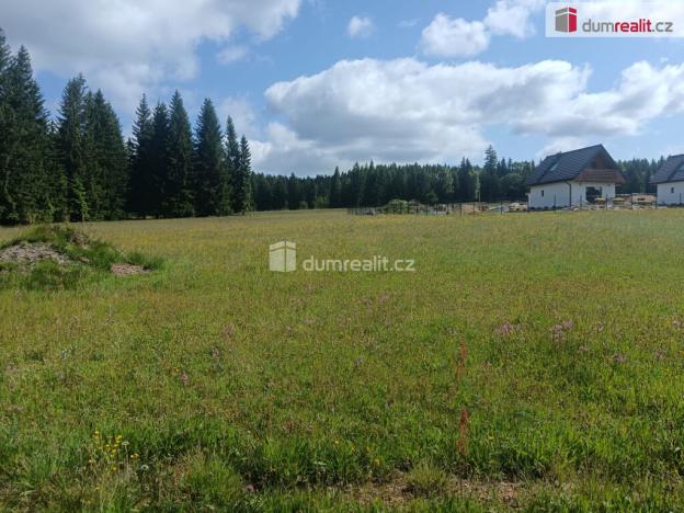 Prodej pozemku pro bydlení, Orlické Záhoří, 3720 m2
