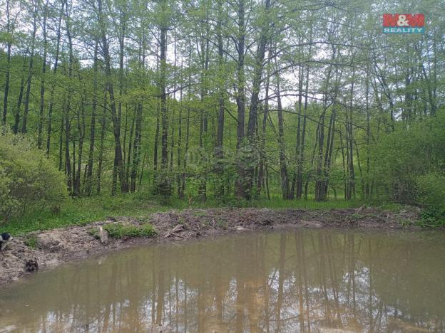 Prodej louky, Kořenov - Rejdice, 6962 m2