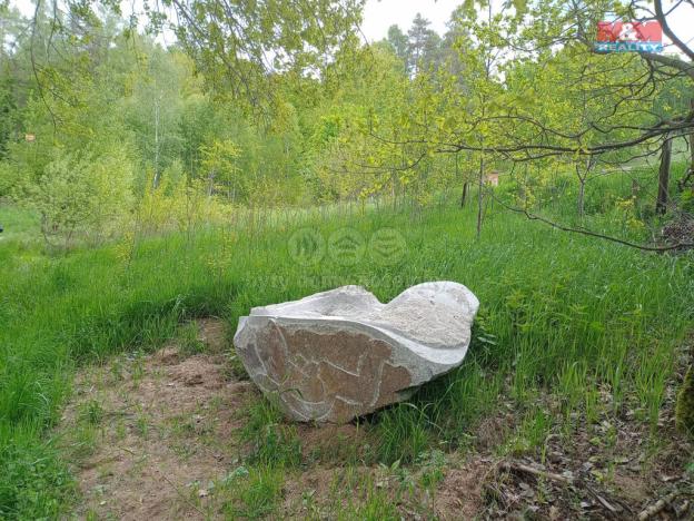 Prodej louky, Kořenov - Rejdice, 6962 m2