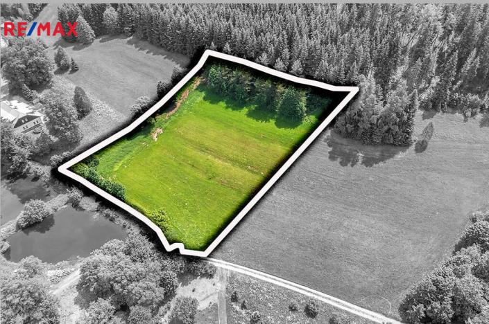 Prodej pozemku pro bydlení, Červená Voda, 7993 m2