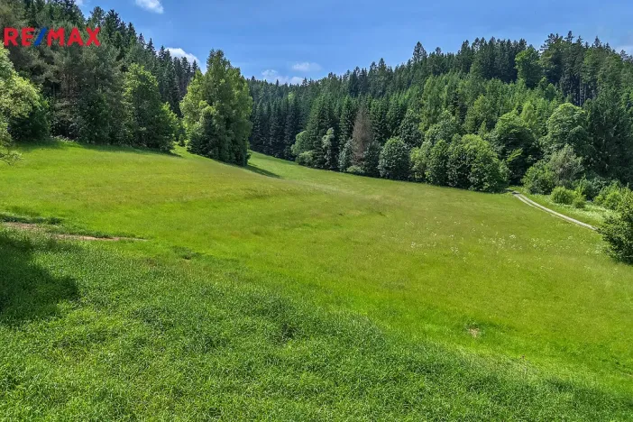 Prodej pozemku pro bydlení, Červená Voda, 7993 m2