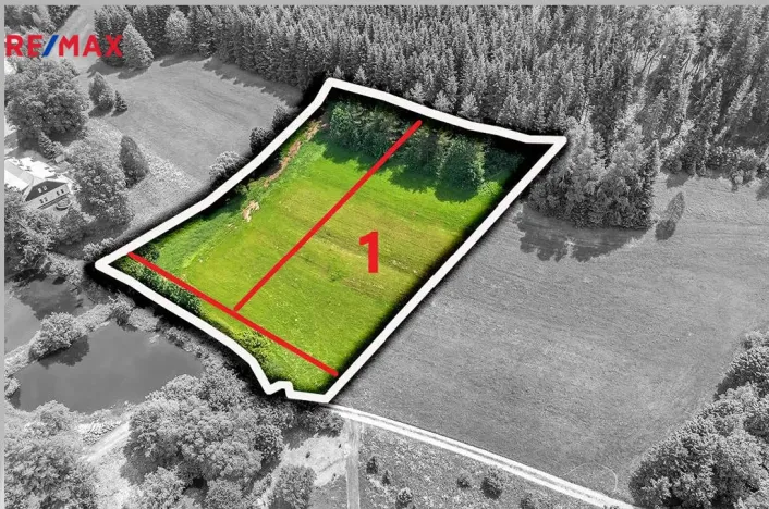 Prodej pozemku pro bydlení, Červená Voda, 3672 m2