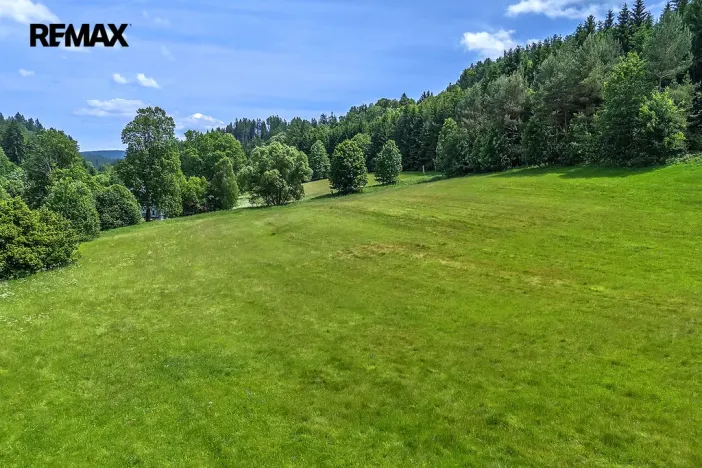 Prodej pozemku pro bydlení, Červená Voda, 3672 m2