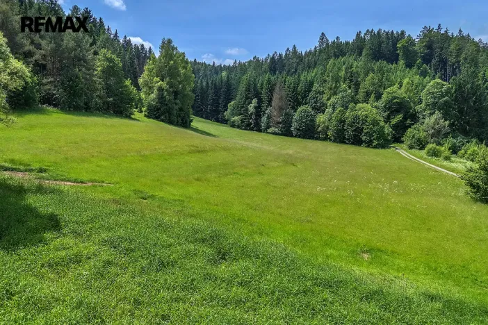 Prodej pozemku pro bydlení, Červená Voda, 3672 m2