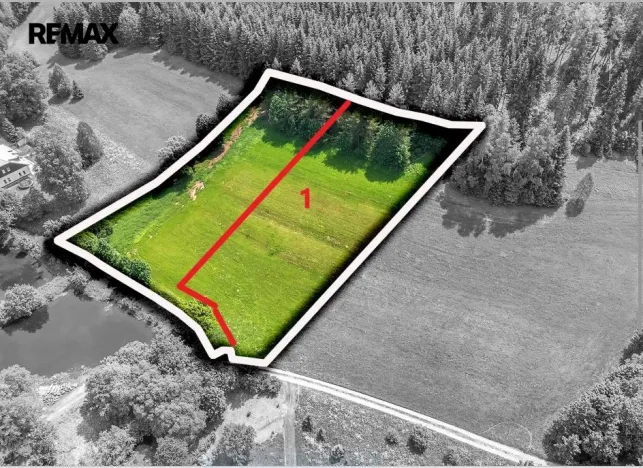 Prodej pozemku pro bydlení, Červená Voda, 3948 m2