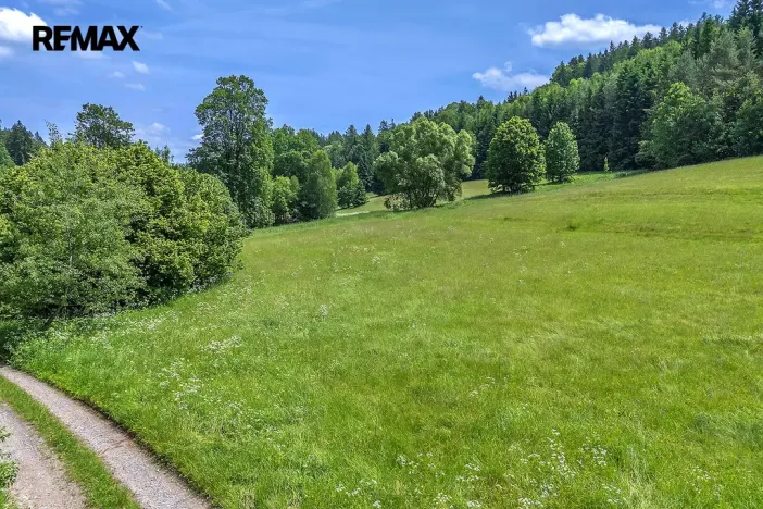 Prodej pozemku pro bydlení, Červená Voda, 3948 m2