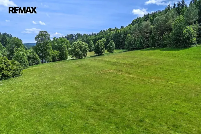 Prodej pozemku pro bydlení, Červená Voda, 4045 m2