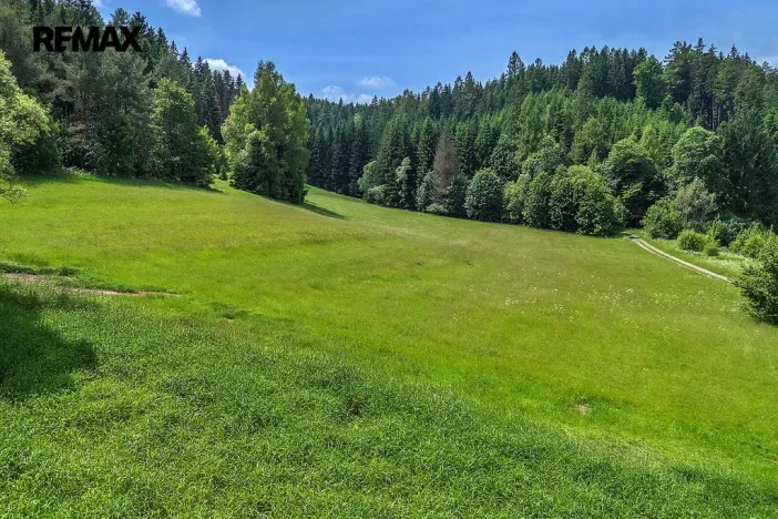 Prodej pozemku pro bydlení, Červená Voda, 4045 m2
