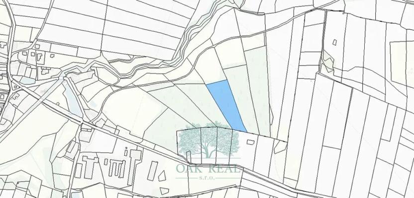 Prodej lesa, Chrášťany, 9048 m2