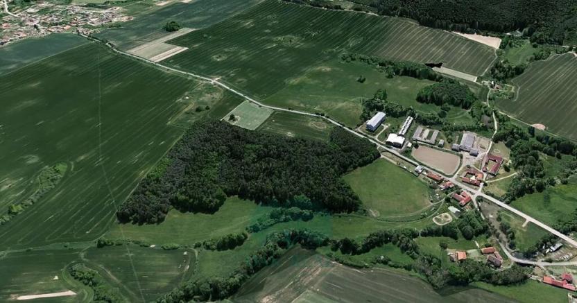 Prodej lesa, Chrášťany, 9048 m2