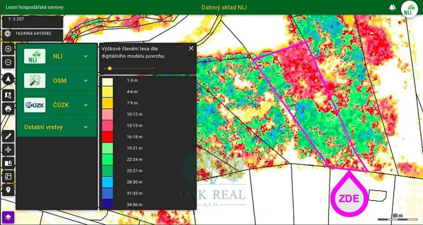Prodej lesa, Chrášťany, 9048 m2